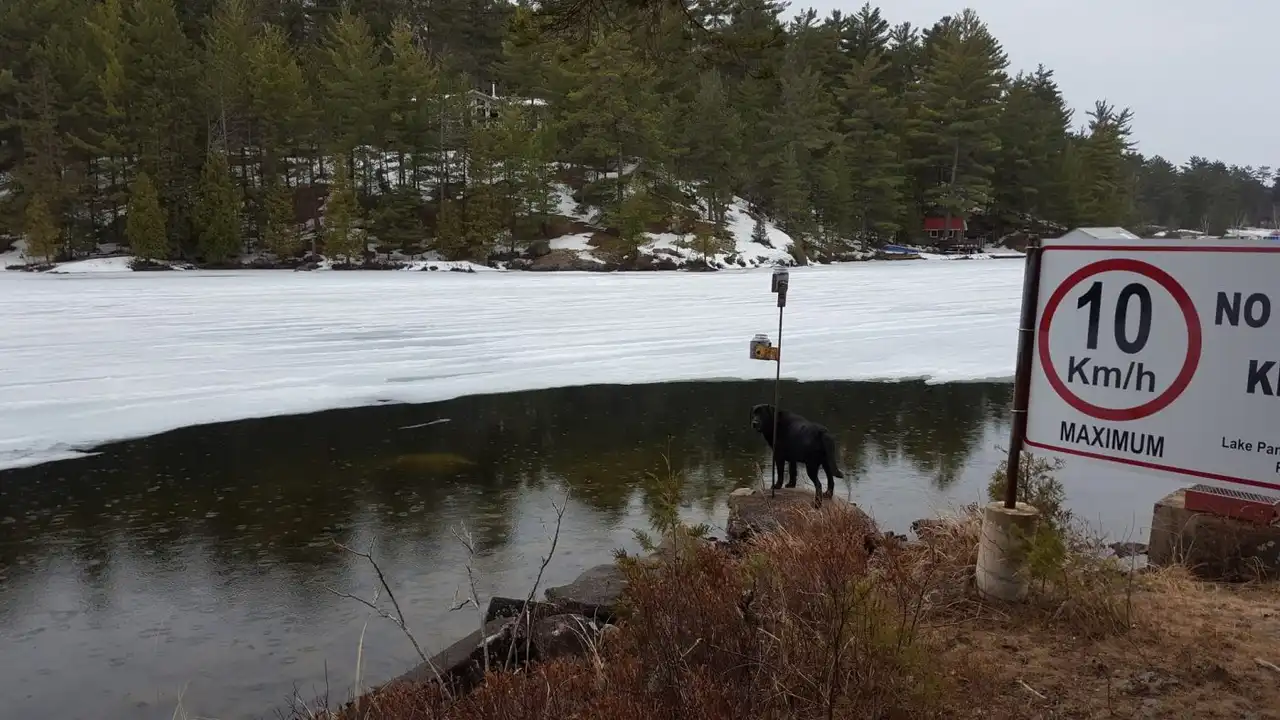 blue bowl of black bean beef tortilla soup on a board with cilantro and shredded cheese in background