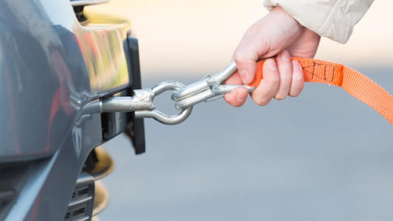 Two mint chocolate milkshakes with whipped cream and green sprinkles.